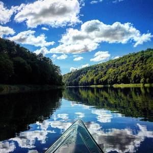 Meet your Posher, Joan